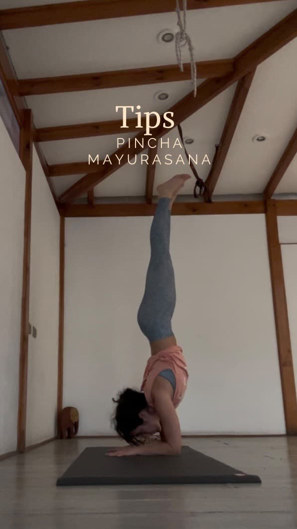 Tutorial de Pincha — posturas de yoga avanzadas